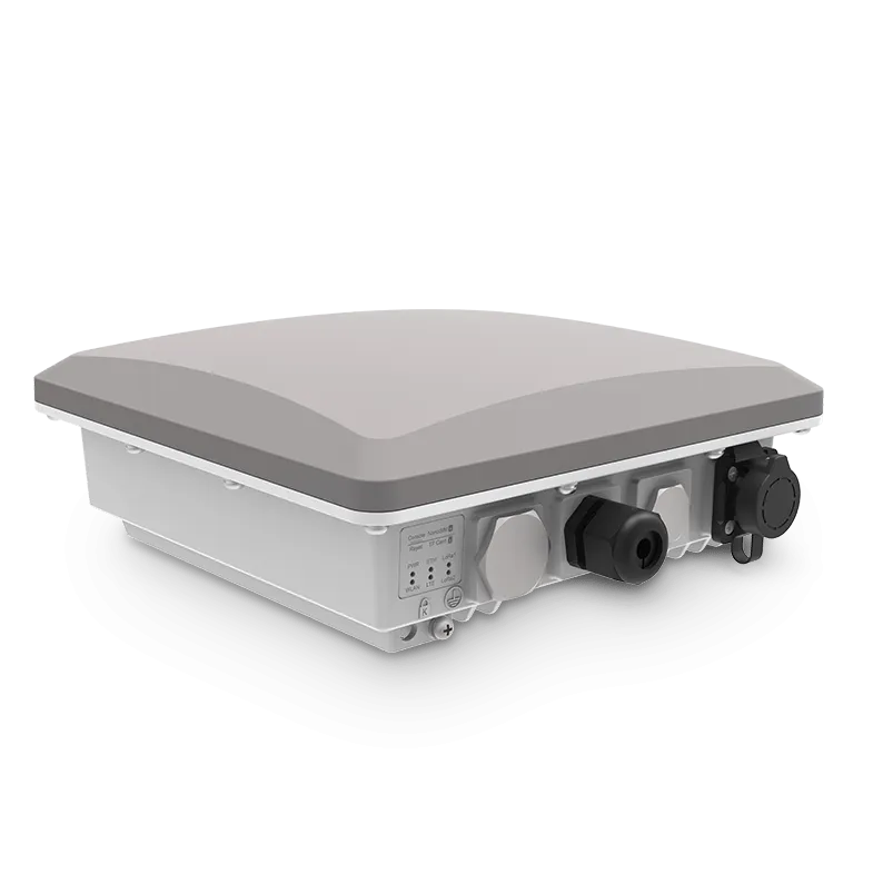 Базовая станция RAK 7289CV2